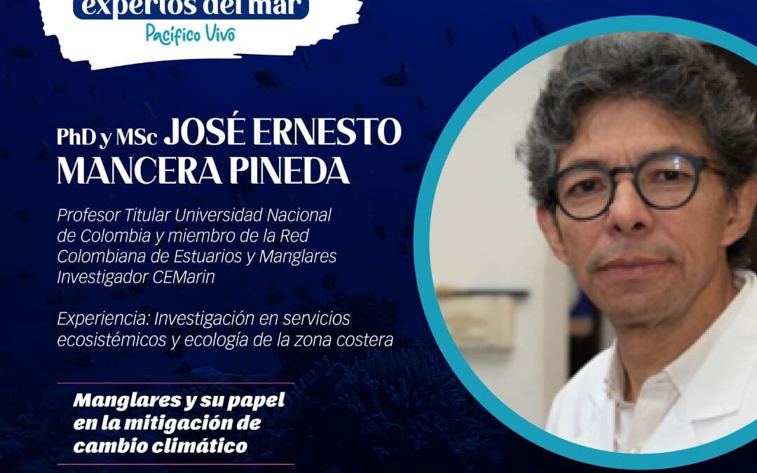 🪼 ¿𝑺𝒂𝒃í𝒂𝒔 𝒒𝒖𝒆 𝒍𝒐𝒔 𝒎𝒂𝒏𝒈𝒍𝒂𝒓𝒆𝒔 𝒕𝒊𝒆𝒏𝒆𝒏 𝒖𝒏 𝒈𝒓𝒂𝒏 𝒊𝒎𝒑𝒂𝒄𝒕𝒐 𝒆𝒏 𝒆𝒍 𝒄𝒂𝒎𝒃𝒊𝒐 𝒄𝒍𝒊𝒎á𝒕𝒊𝒄𝒐? 🪸