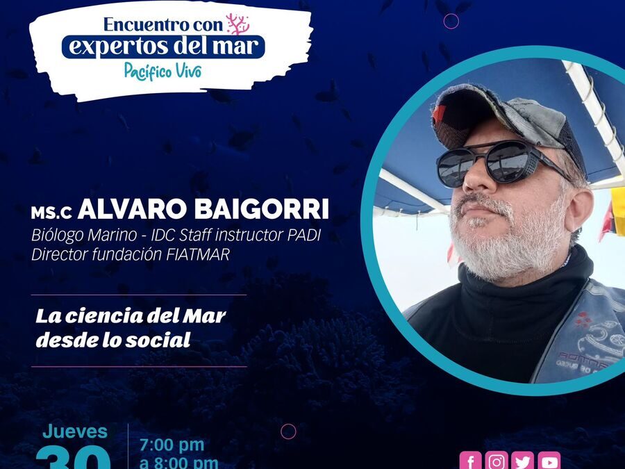 💙Vivimos nuestro Pacífico desde diferentes perspectivas 🪸