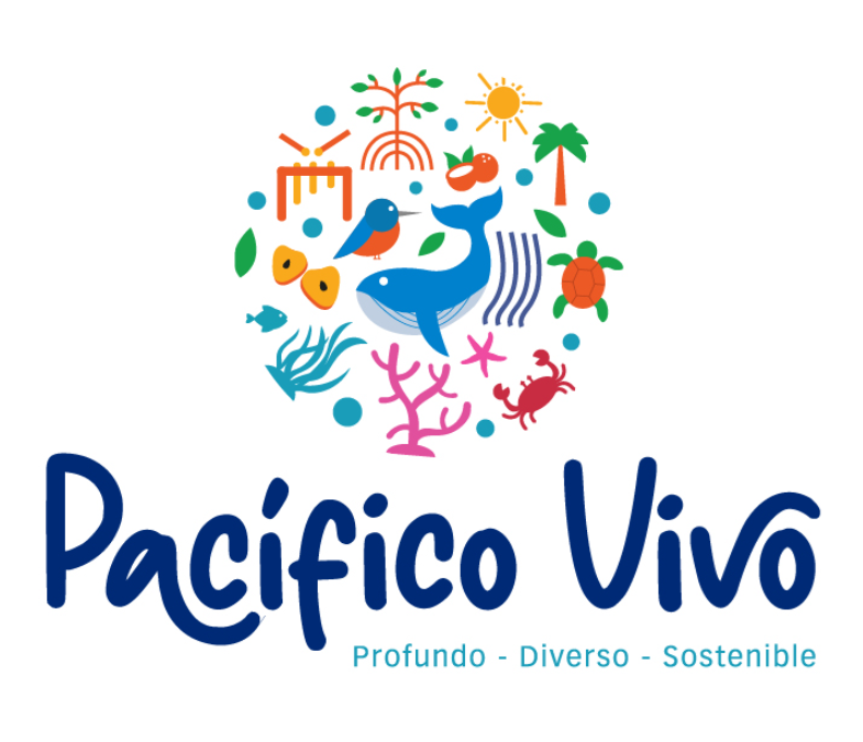 Apertura de la convocatoria para el fortalecimiento de capacidades para la conservación de  ecosistemas marinos del pacífico colombiano.
